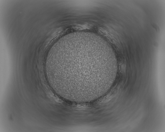 X0000111861393200908061326