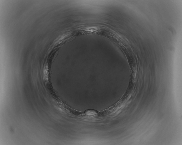 X0000111861394200908061326