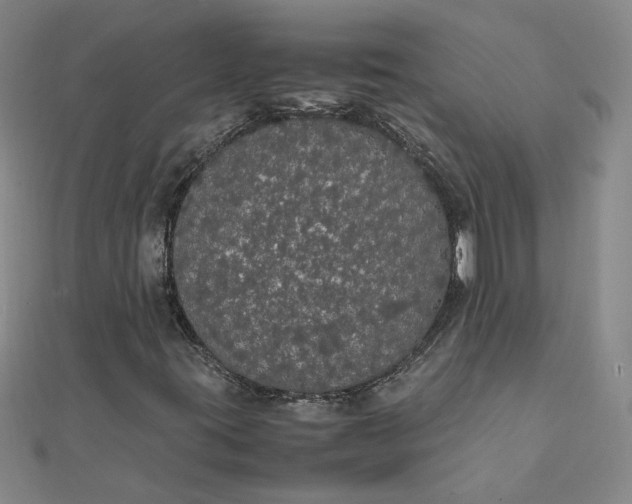 X0000111861395200908061326