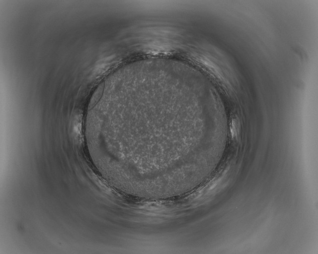 X0000111861396200908061326