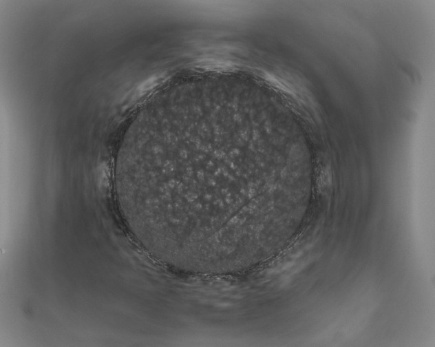 X0000111861397200908061326