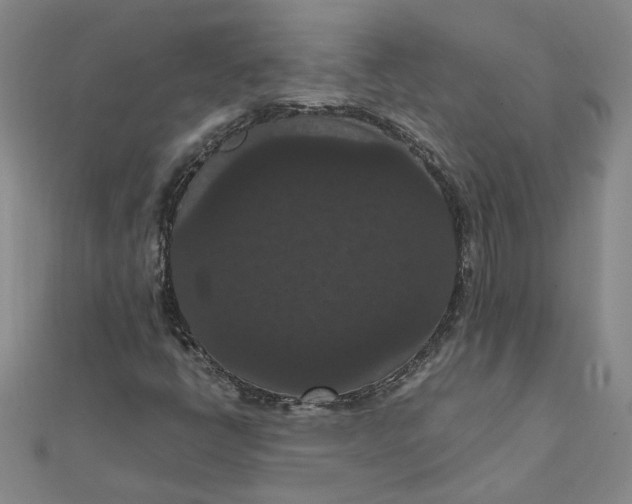 X0000111861398200908061326