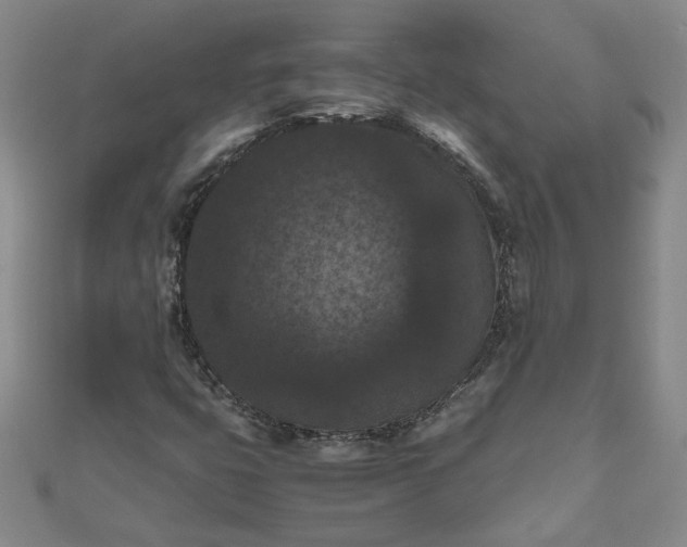 X0000111861399200908061326