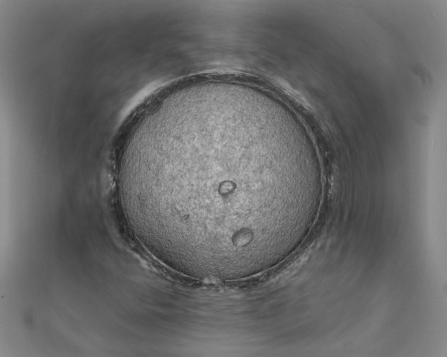 X0000111861400200908061326