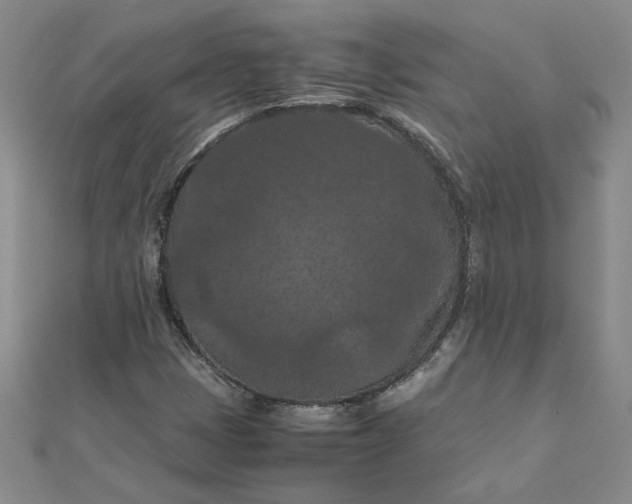 X0000111861401200908061326