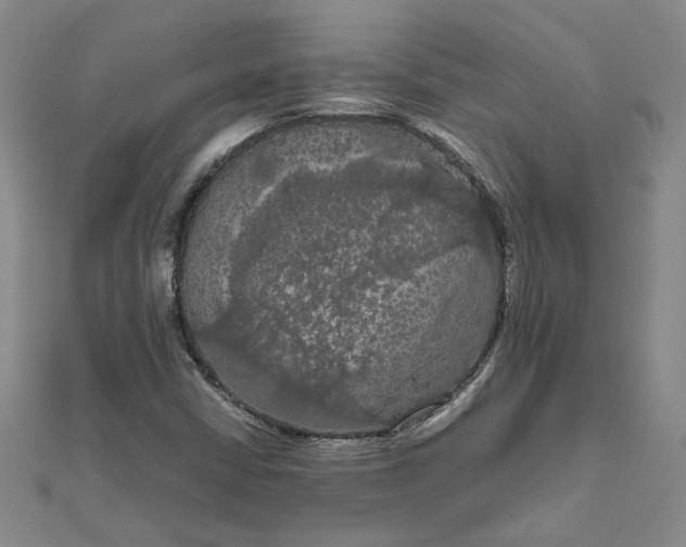 X0000111861402200908061326