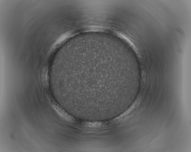 X0000111861403200908061326