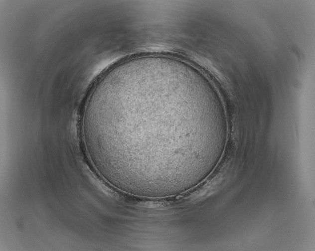 X0000111861404200908061326