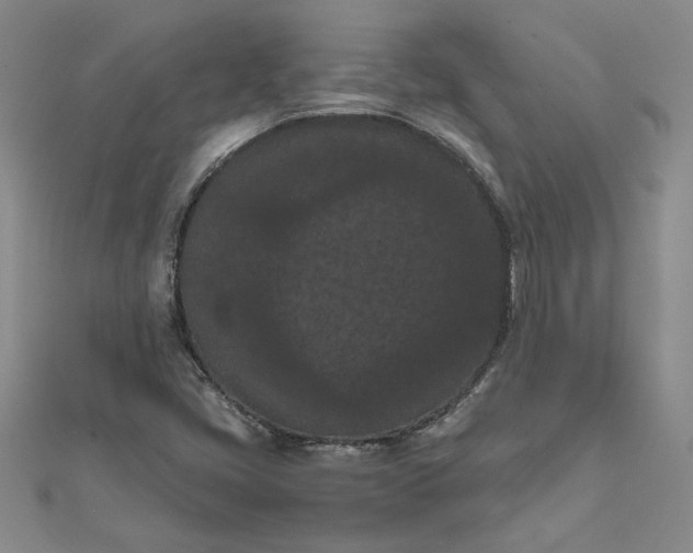 X0000111861405200908061326