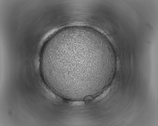 X0000111861406200908061326