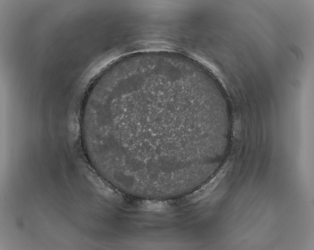 X0000111861407200908061326