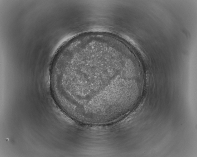 X0000111861408200908061326