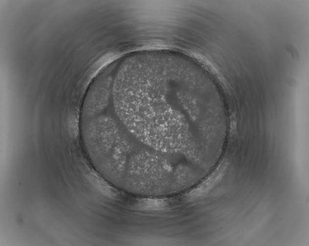 X0000111861409200908061326