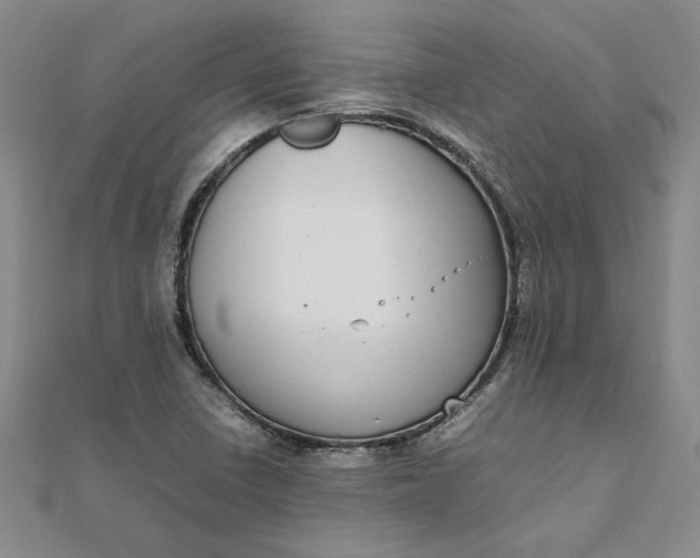 X0000111861410200908061326