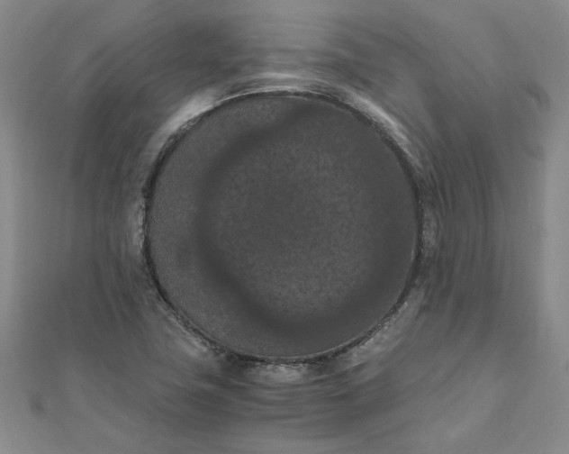 X0000111861411200908061326