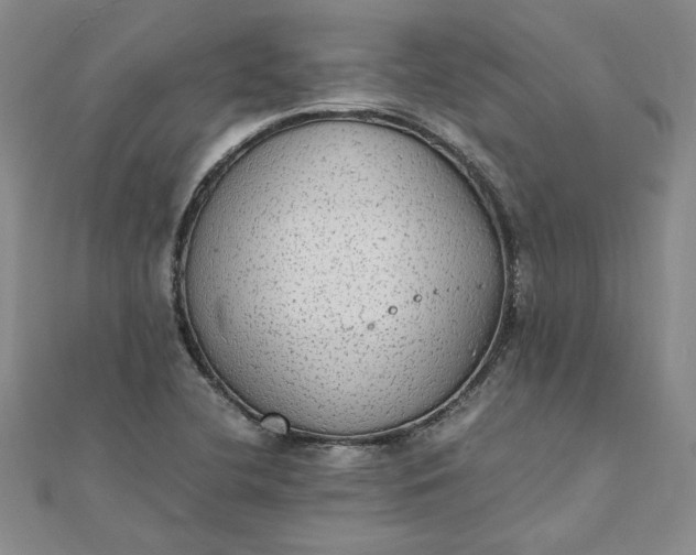 X0000111861412200908061326