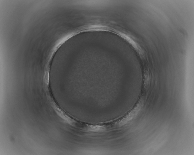 X0000111861413200908061326