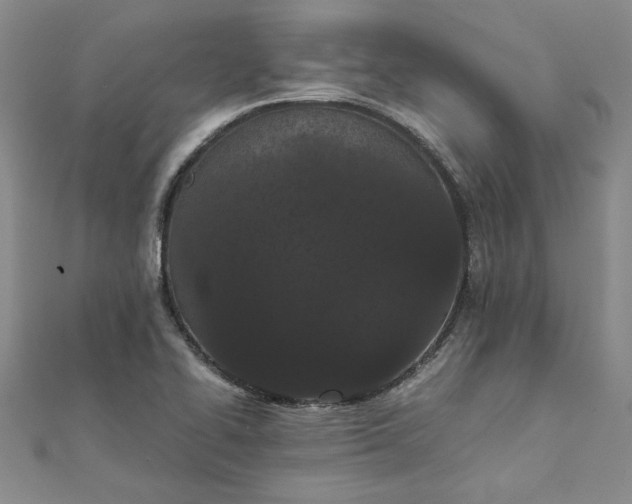 X0000111861414200908061326