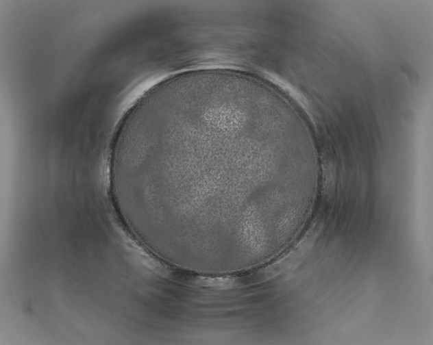 X0000111861415200908061326