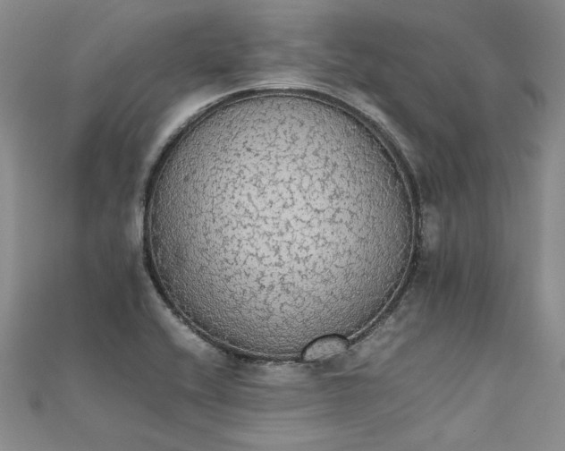 X0000111861416200908061326