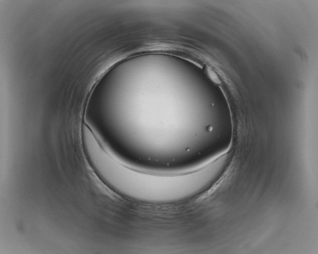 X0000111861417200908061326