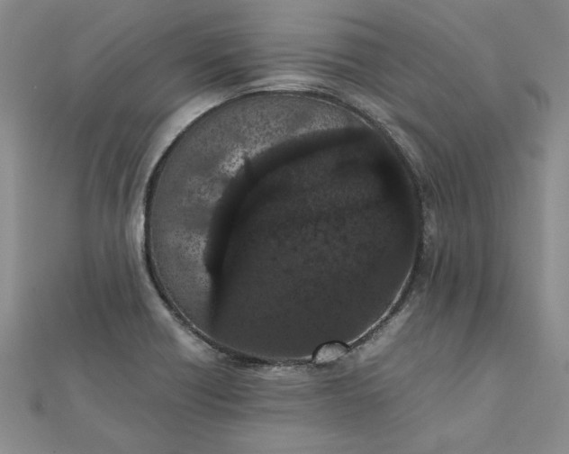 X0000111861418200908061326