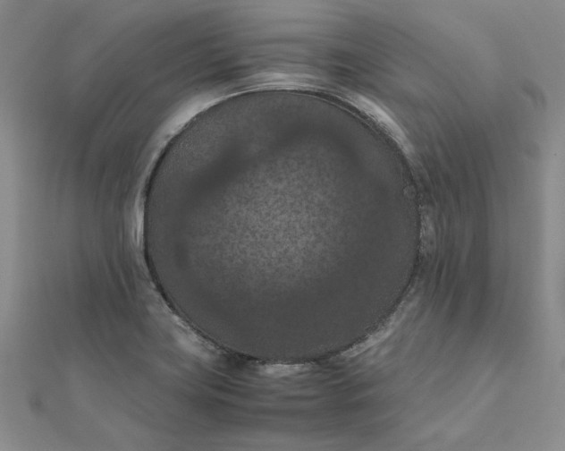 X0000111861419200908061326