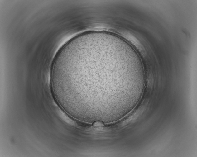 X0000111861420200908061326