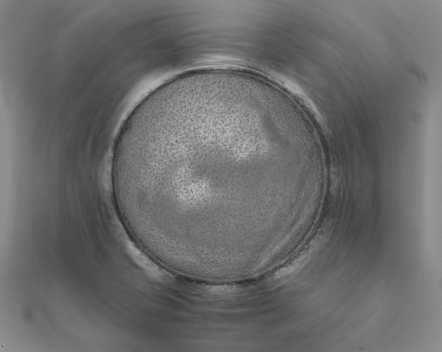 X0000111861421200908061326