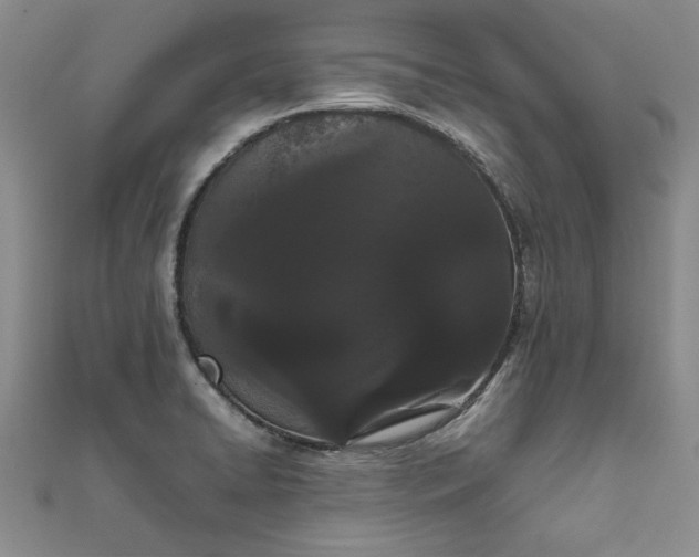 X0000111861422200908061326