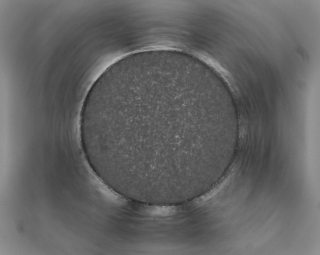 X0000111861423200908061326