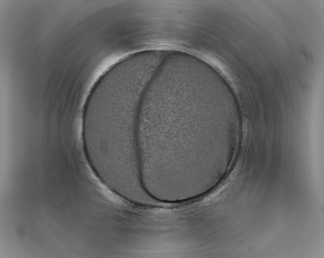 X0000111861424200908061326