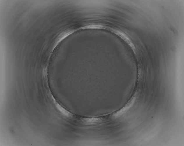 X0000111861425200908061326