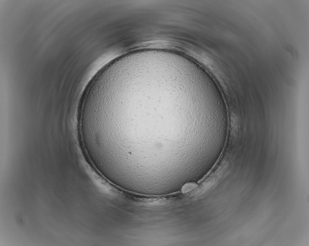 X0000111861426200908061326