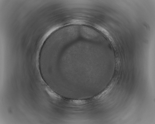 X0000111861427200908061326