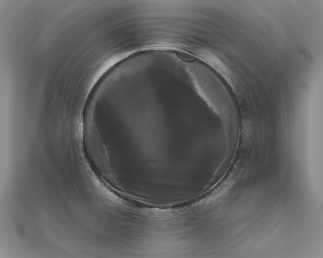 X0000111861428200908061326