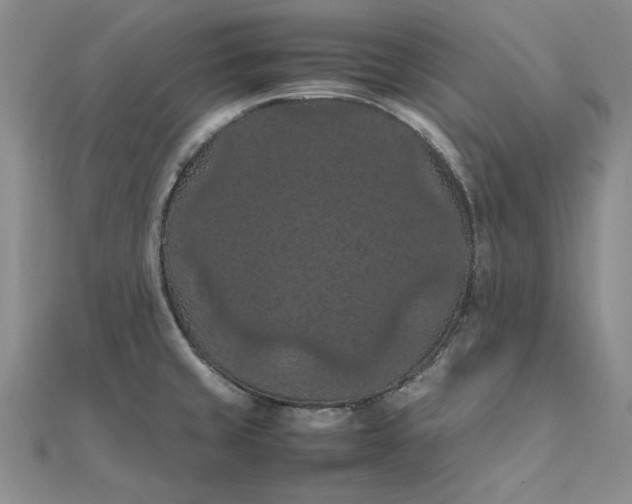 X0000111861429200908061326