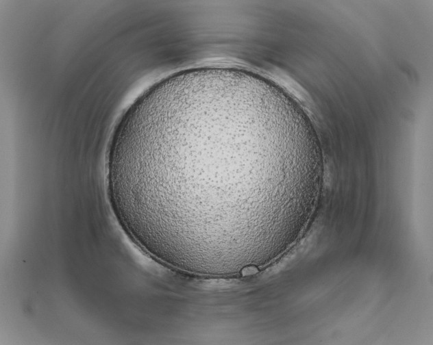 X0000111861430200908061326