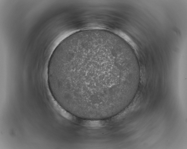 X0000111861431200908061326