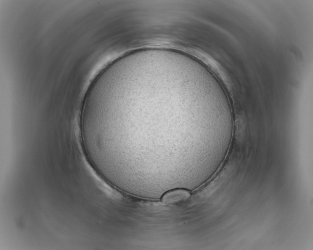 X0000111861432200908061326