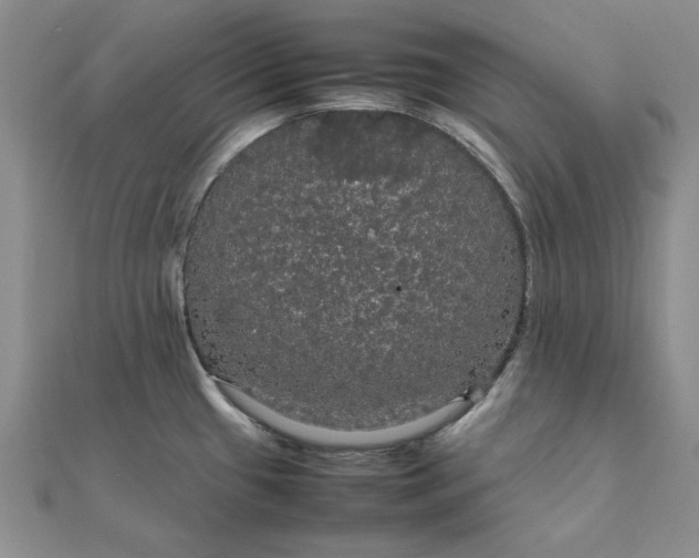 X0000111861433200908061326