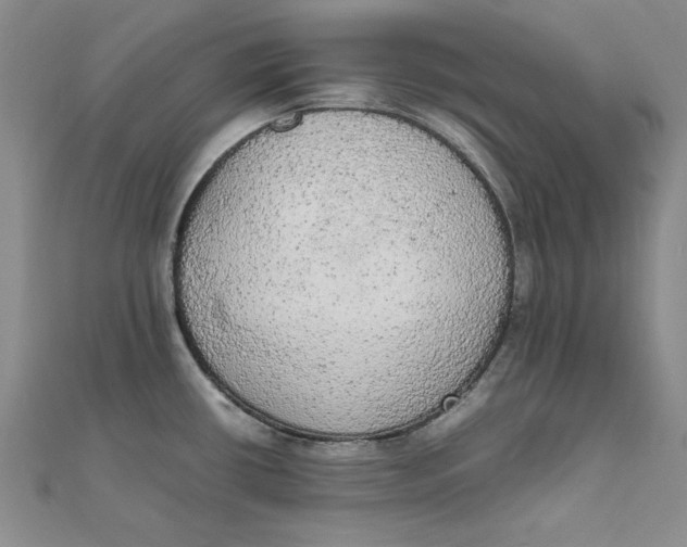 X0000111861434200908061326