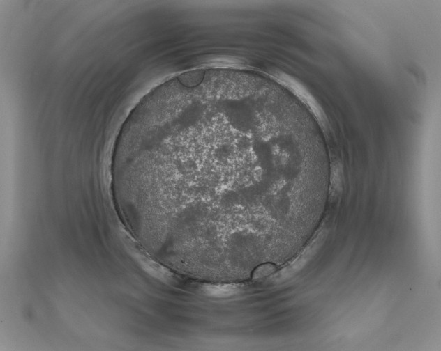 X0000111861435200908061326