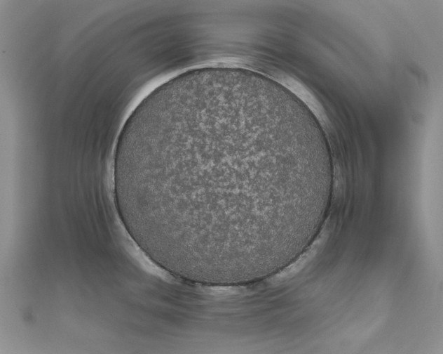 X0000111861436200908061326