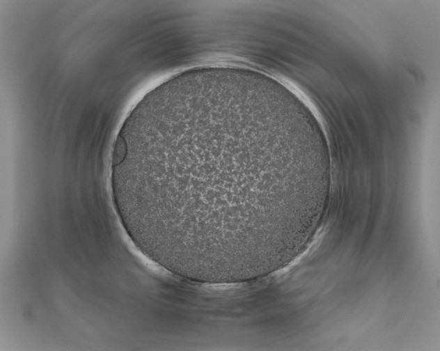 X0000111861437200908061326