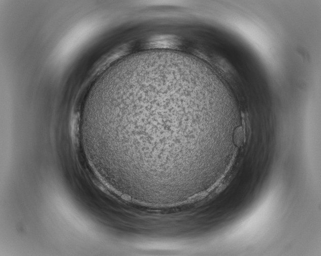 X0000111861438200908061326