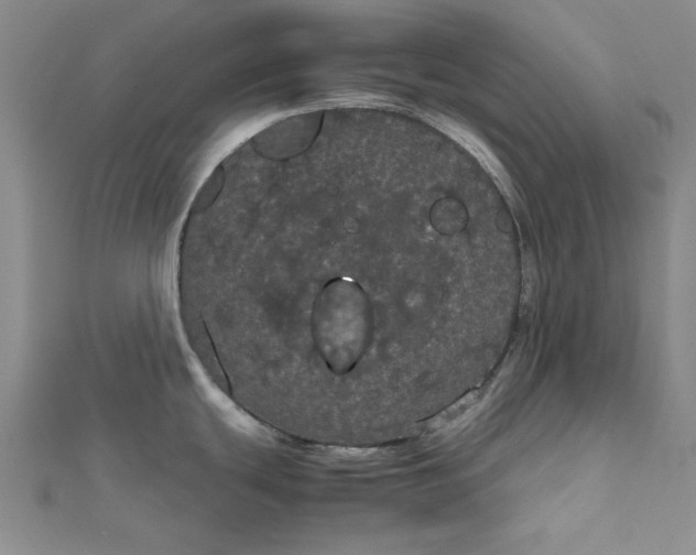 X0000111861439200908061326