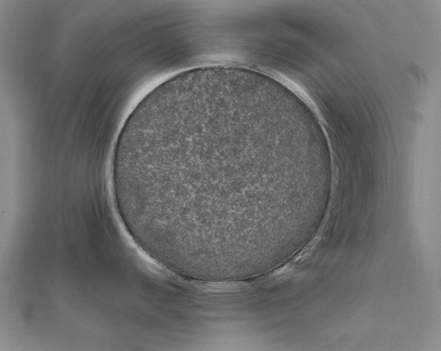 X0000111861440200908061326