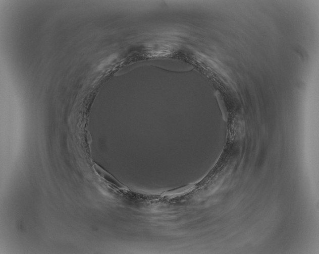 X0000111861441200908061326