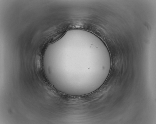 X0000111861442200908061326